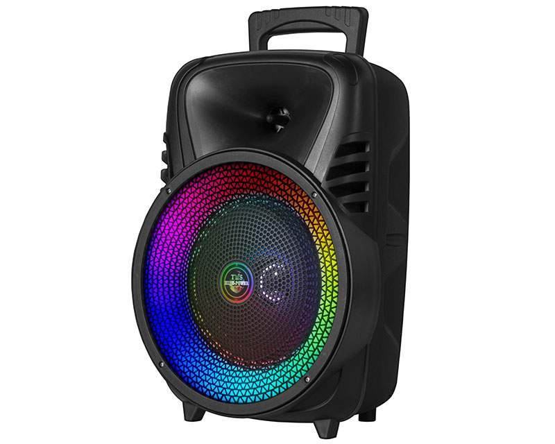 Računarske periferije i oprema - AVCROWNS CH-855 Prenosivi Karaoke Bluetooth Zvučnik - Avalon ltd