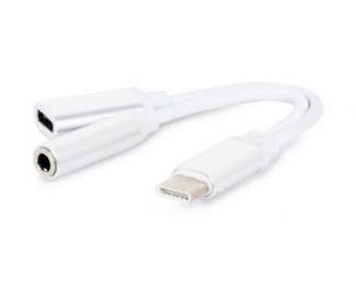 Kablovi, adapteri i punjači - FAST ASIA Adapter TIP C na 3.5mm stereo jack na TIP C - Avalon ltd