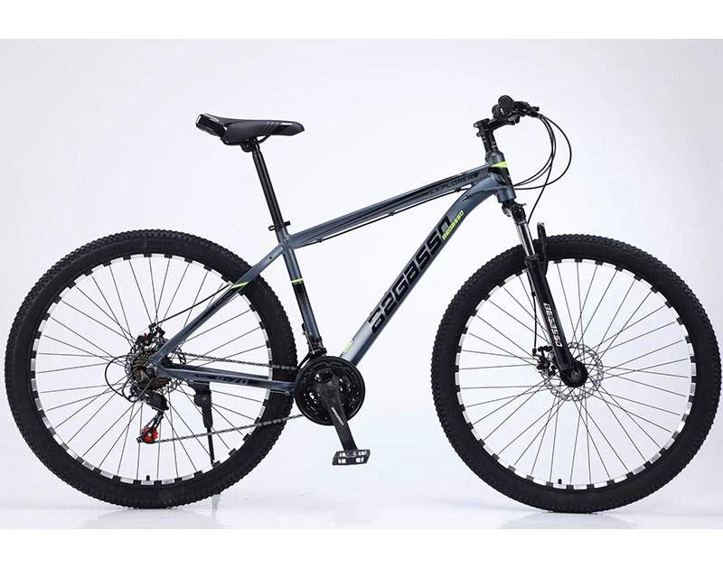 Električni trotineti, skuteri, bicikla - BEGASSO TY-1049 Bicikl 29 inča sivi - Avalon ltd